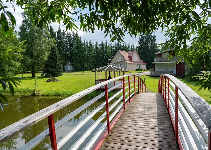 Maennimaee 빌얀디